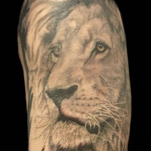 lion tattoos, tattoos for men, realistic tattoos