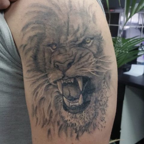lion tattoos, tattoos for men, tattoos in essex, tattoo studio