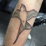 swallow tattoo