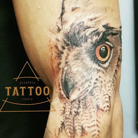 owl tattoo, nature tattoo, tattoos for men, cool tattoos
