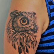 h gallery 2018 edit owl